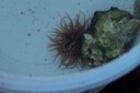 100_2534.JPG