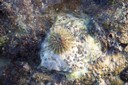 100_2535.JPG