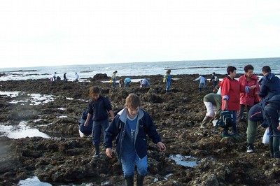 100_2538.JPG