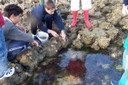100_2542.JPG