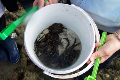 100_2544.JPG