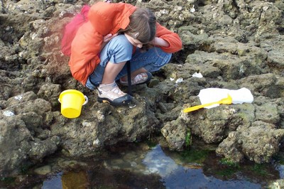 100_2547.JPG