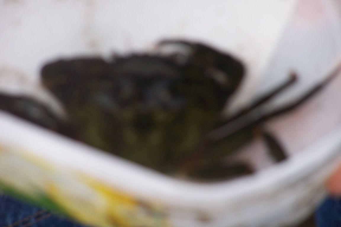 100_2551.JPG
