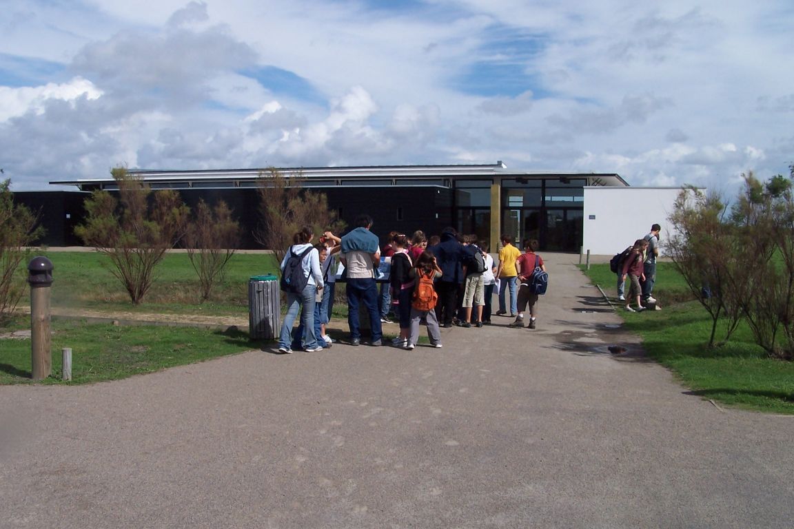 100_2554.JPG