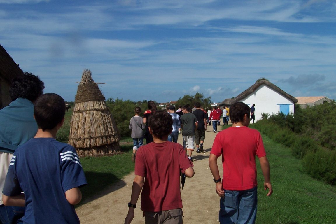 100_2556.JPG