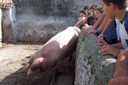 100_2565.JPG