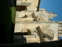 DSCN0963.JPG