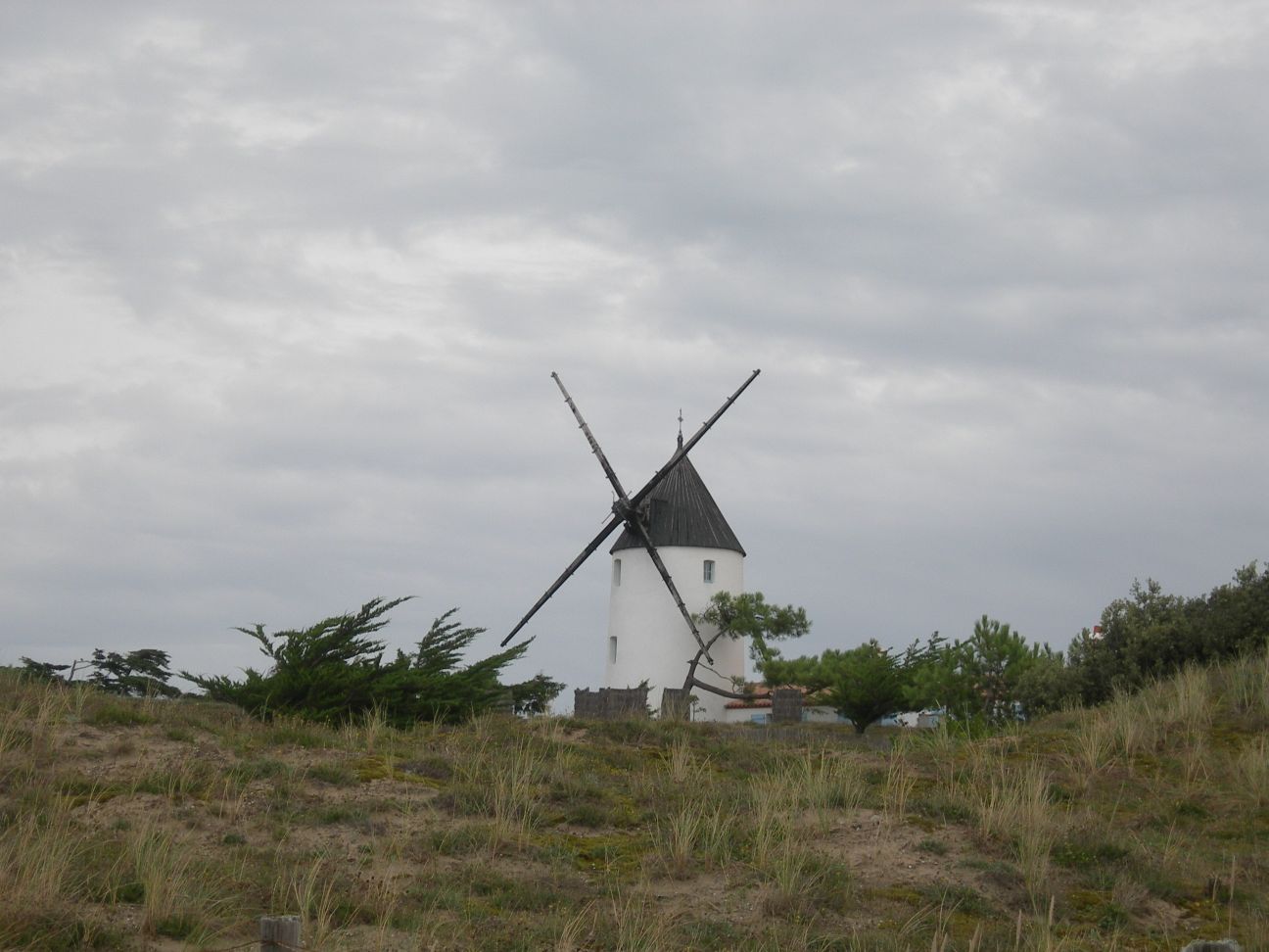 DSCN0986.JPG