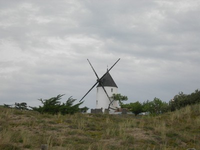 DSCN0986.JPG