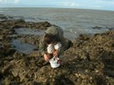 DSCN0989.JPG