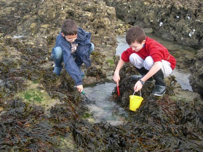 DSCN0990.JPG