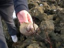 DSCN0991.JPG