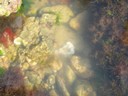 DSCN0992.JPG
