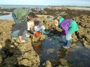DSCN0993.JPG