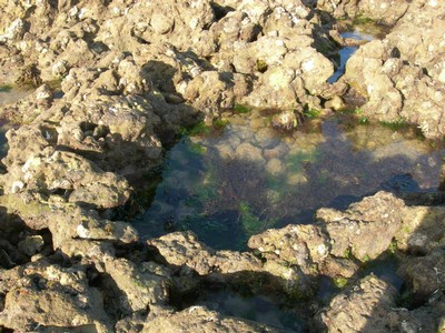 DSCN0995.JPG
