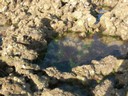 DSCN0995.JPG