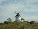 DSCN0998.JPG