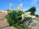DSCN0999.JPG
