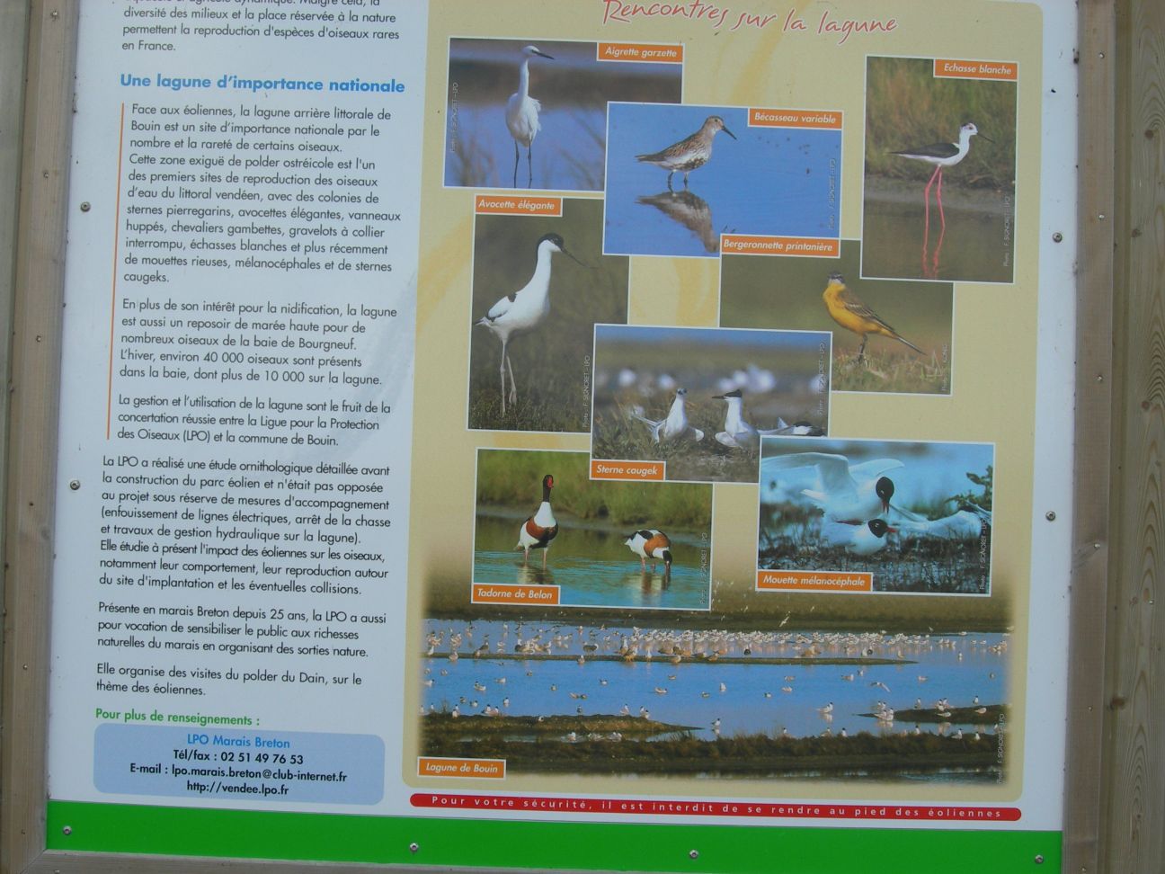 DSCN1003.JPG