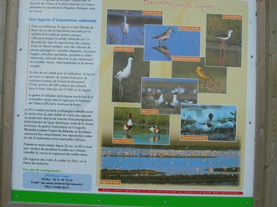 DSCN1003.JPG