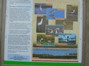 DSCN1003.JPG