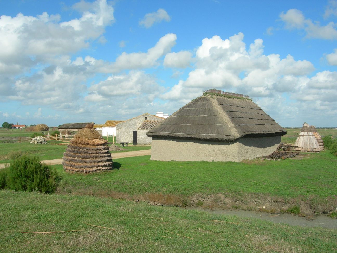 DSCN1014.JPG