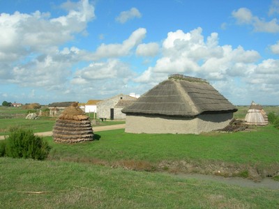 DSCN1014.JPG