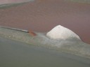 DSCN1017.JPG