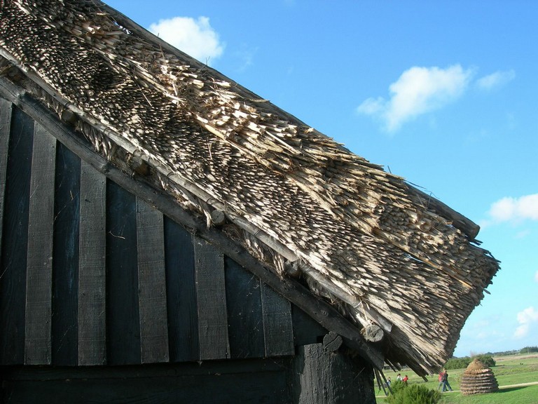 DSCN1019.JPG