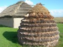 DSCN1020.JPG