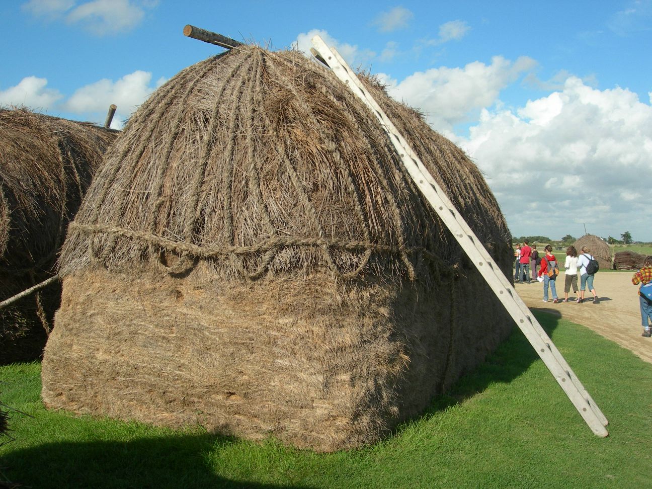 DSCN1021.JPG
