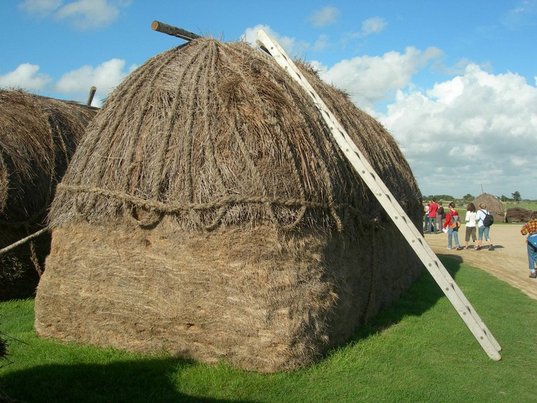 DSCN1021.JPG
