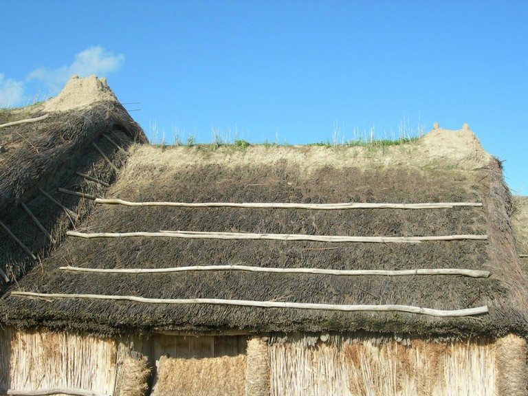 DSCN1031.JPG
