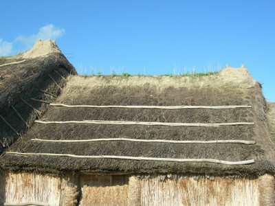 DSCN1031.JPG