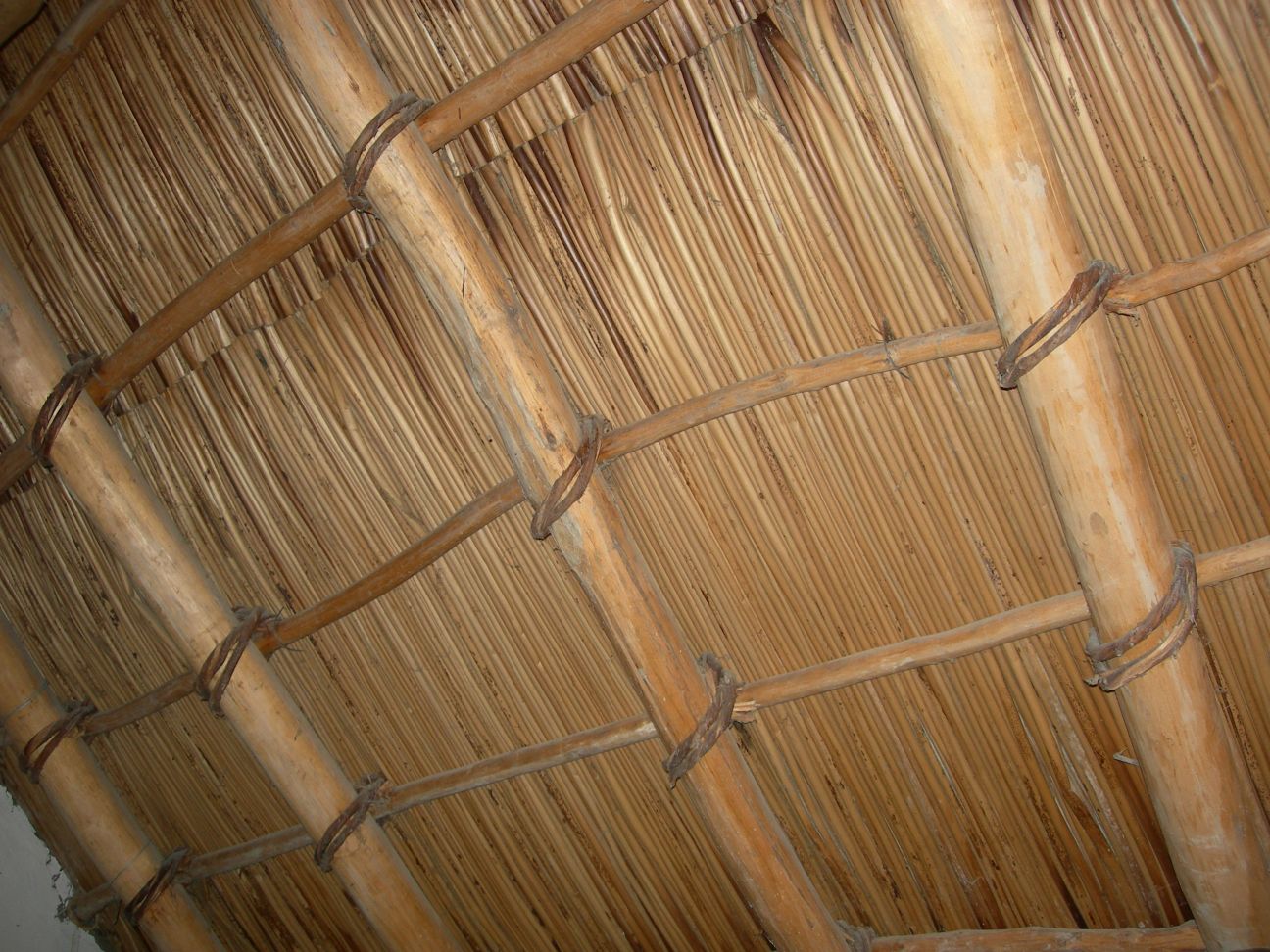 DSCN1033.JPG