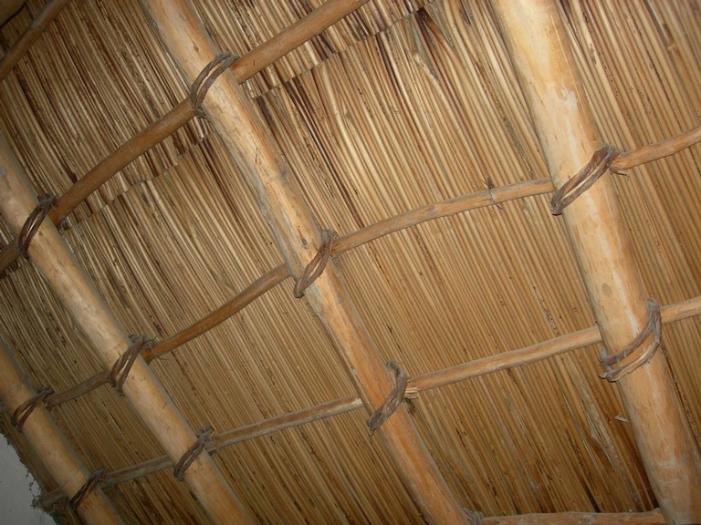 DSCN1033.JPG