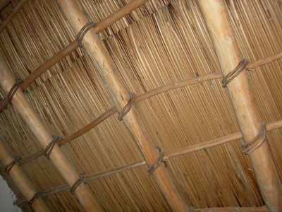 DSCN1033.JPG