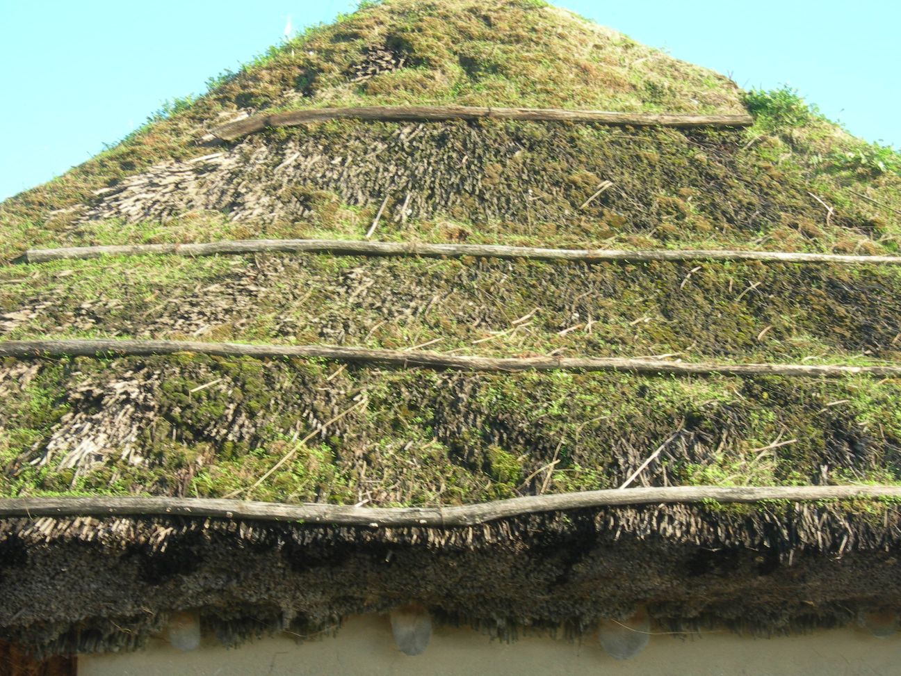DSCN1039.JPG