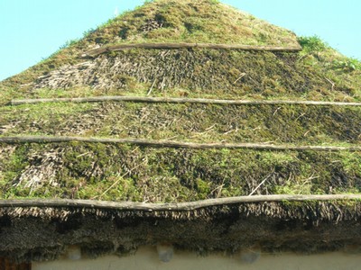 DSCN1039.JPG