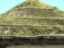 DSCN1039.JPG