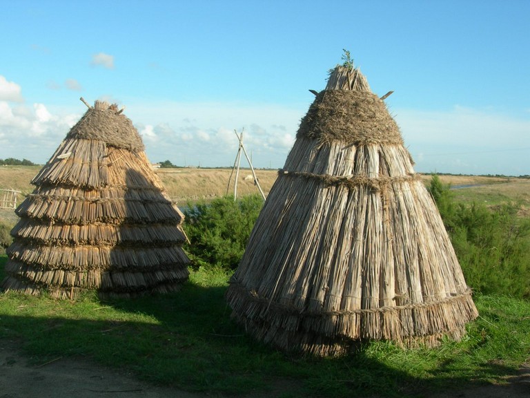 DSCN1041.JPG