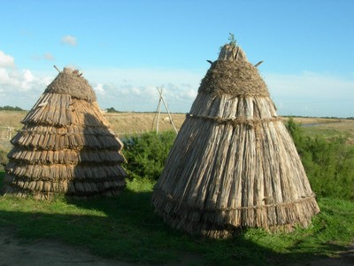 DSCN1041.JPG