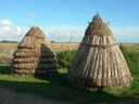 DSCN1042.JPG
