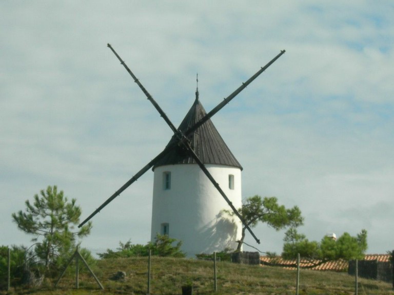 RSCN1044.JPG