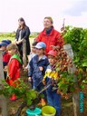 Vendanges des Ms et Gs le 18 Septembre