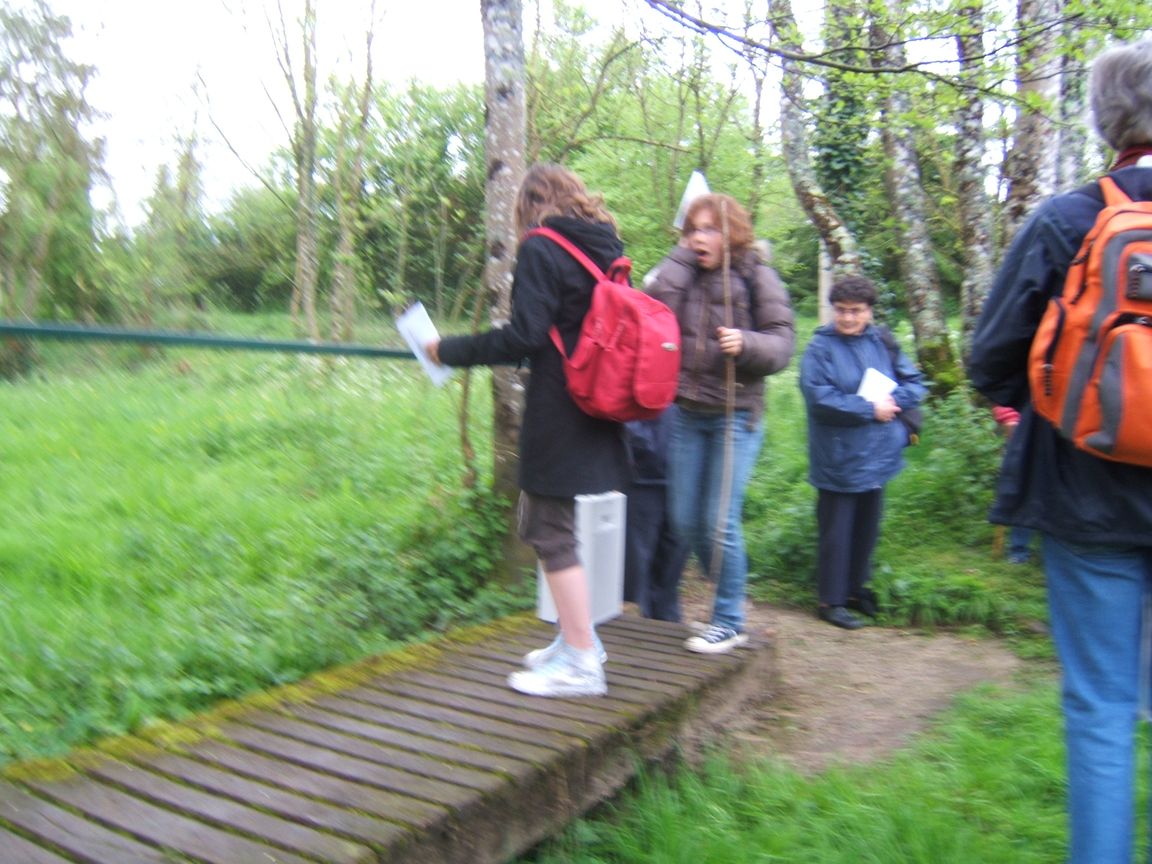 28 avril 2008 - Jazeneuil 021.jpg