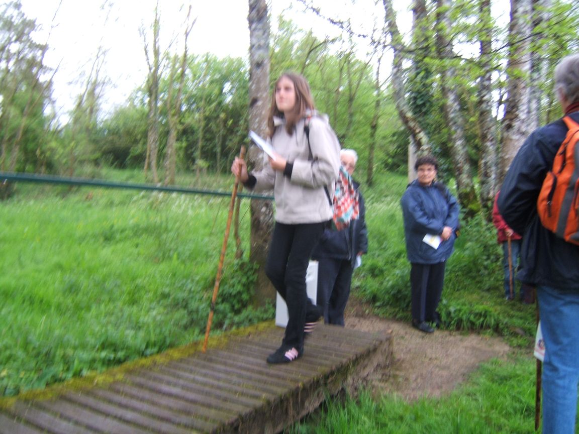 28 avril 2008 - Jazeneuil 028.jpg