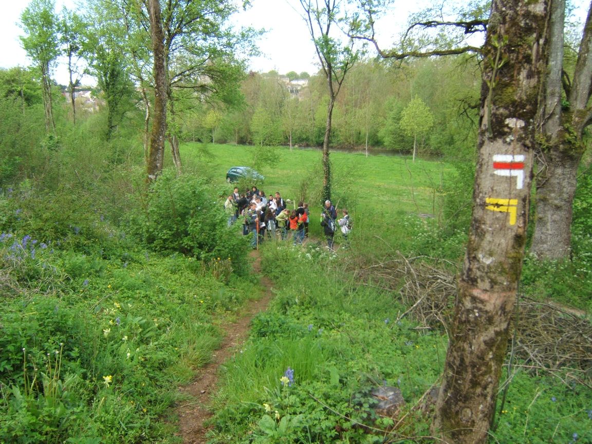 28 avril 2008 - Jazeneuil 078.jpg