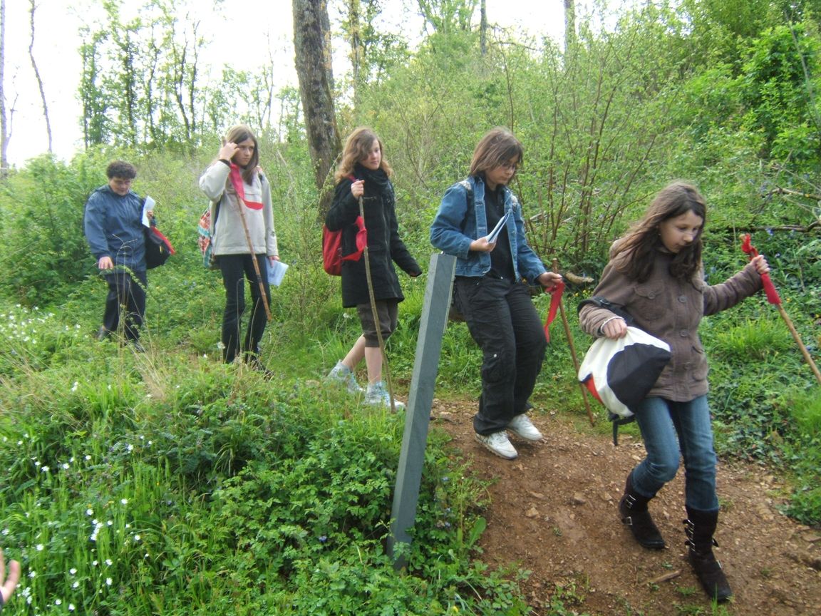 28 avril 2008 - Jazeneuil 081.jpg