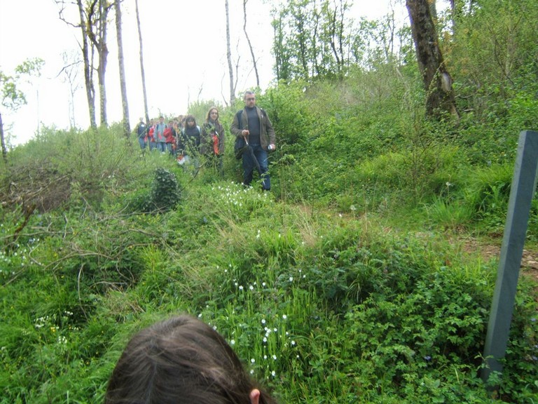 28 avril 2008 - Jazeneuil 082.jpg